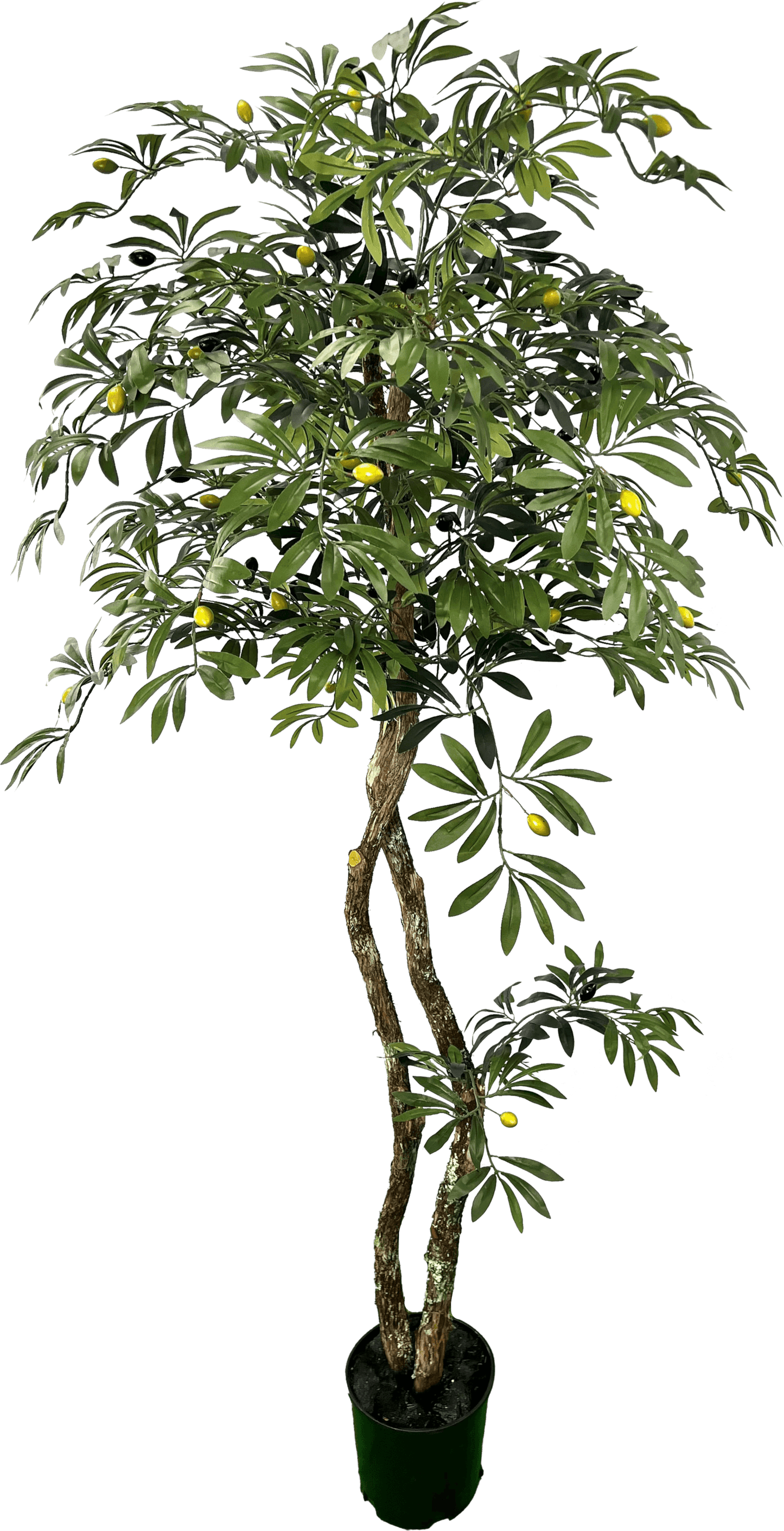 Lifelike 6' Artificial Mediterranean Olive Tree