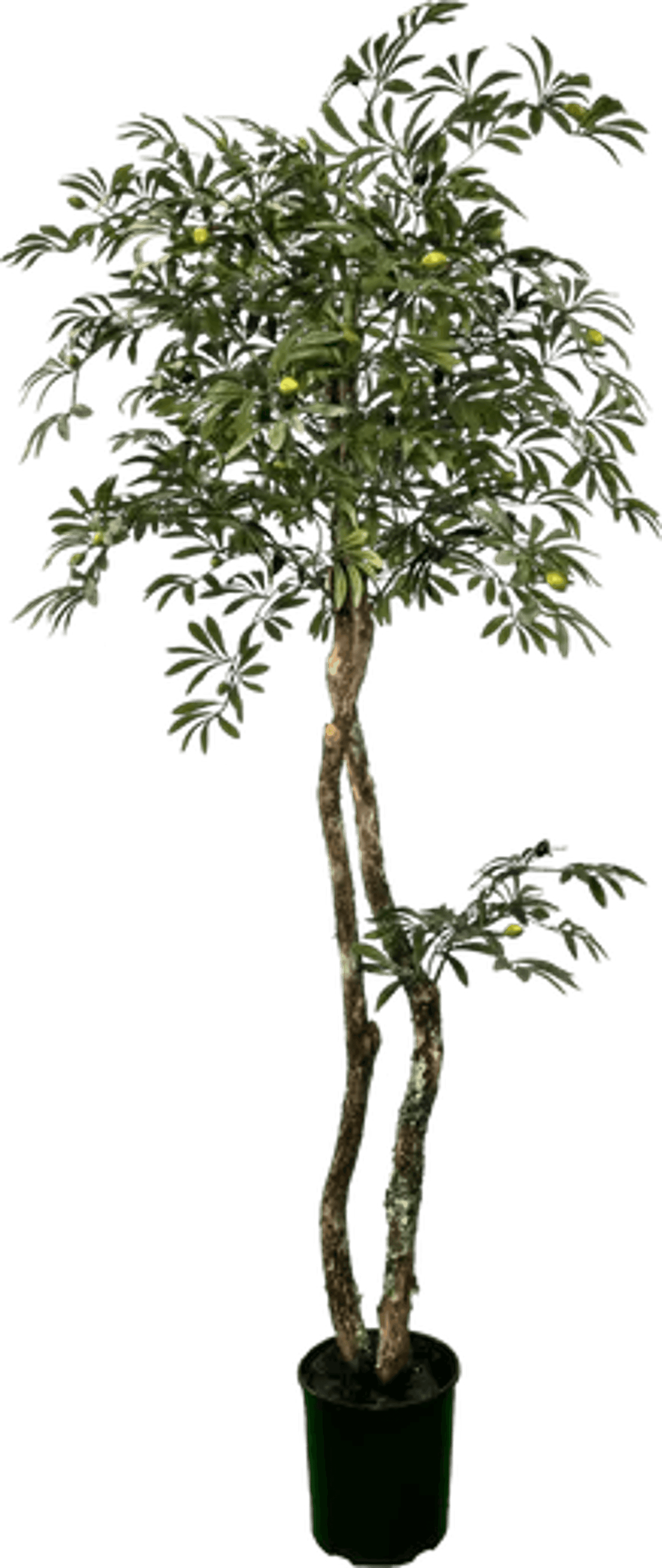 Lifelike 6' Artificial Mediterranean Olive Tree