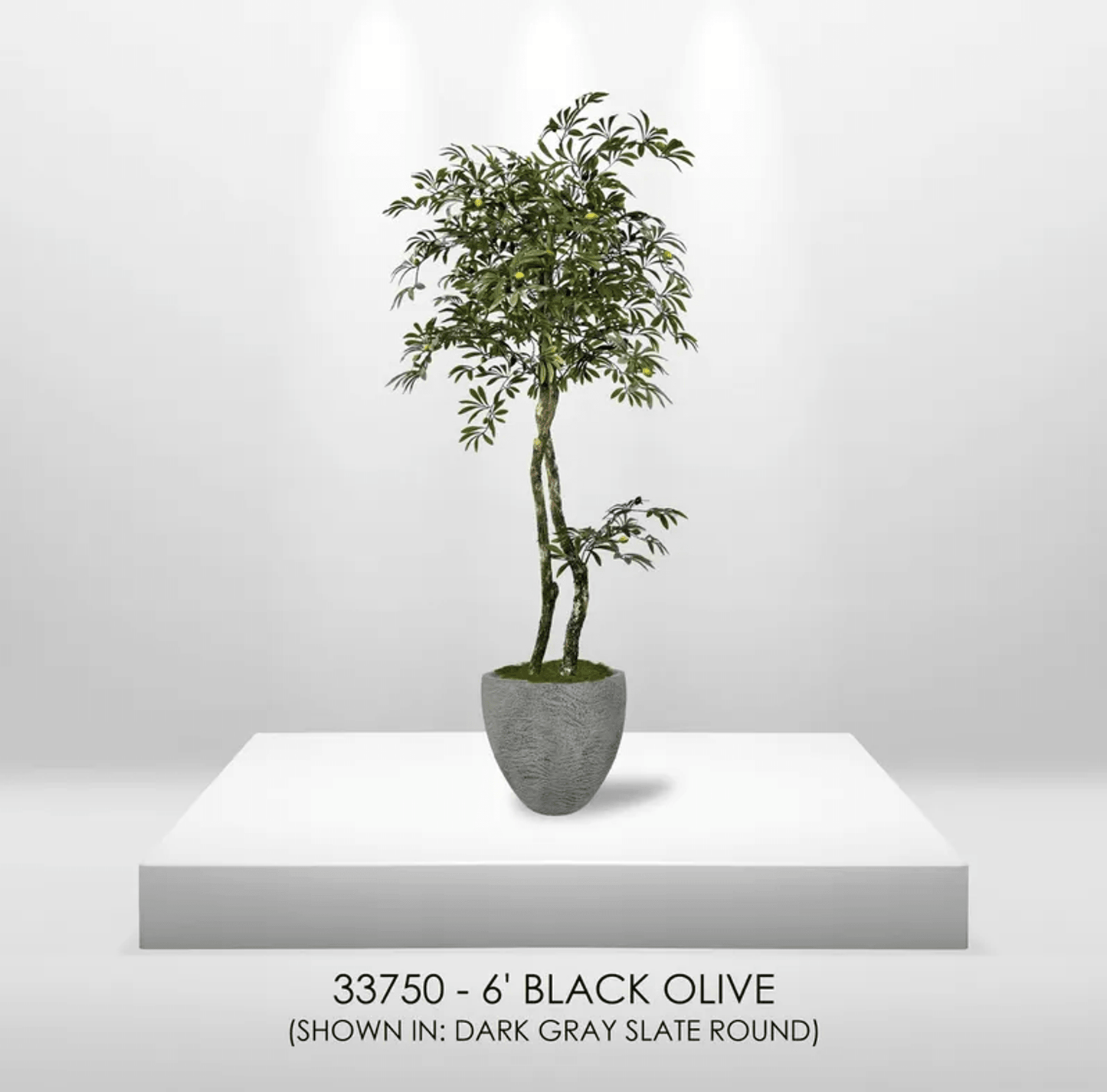 Lifelike 6' Artificial Mediterranean Olive Tree