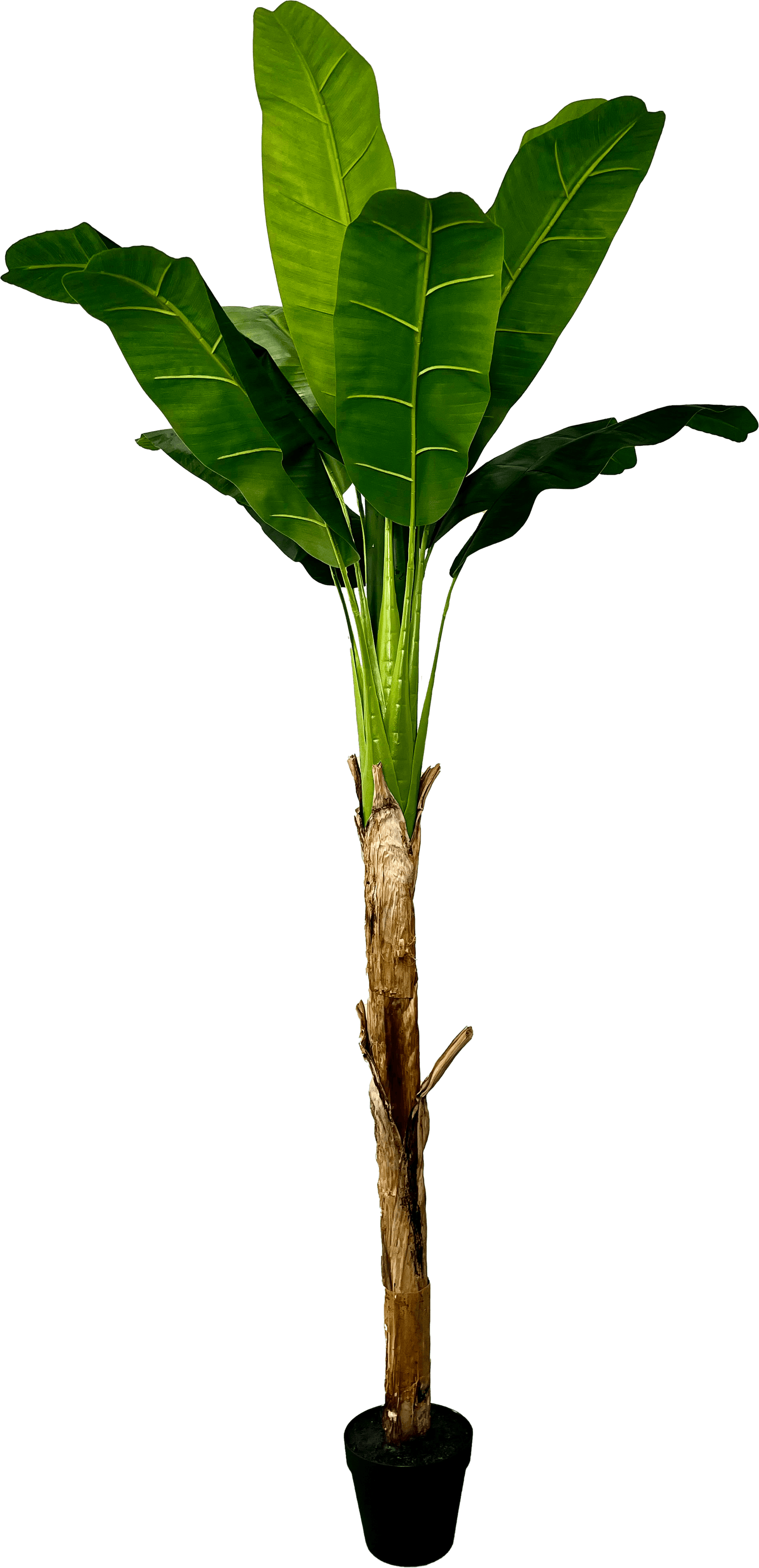 6' Real Touch Artificial Banana Plant