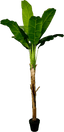 6' Real Touch Artificial Banana Plant