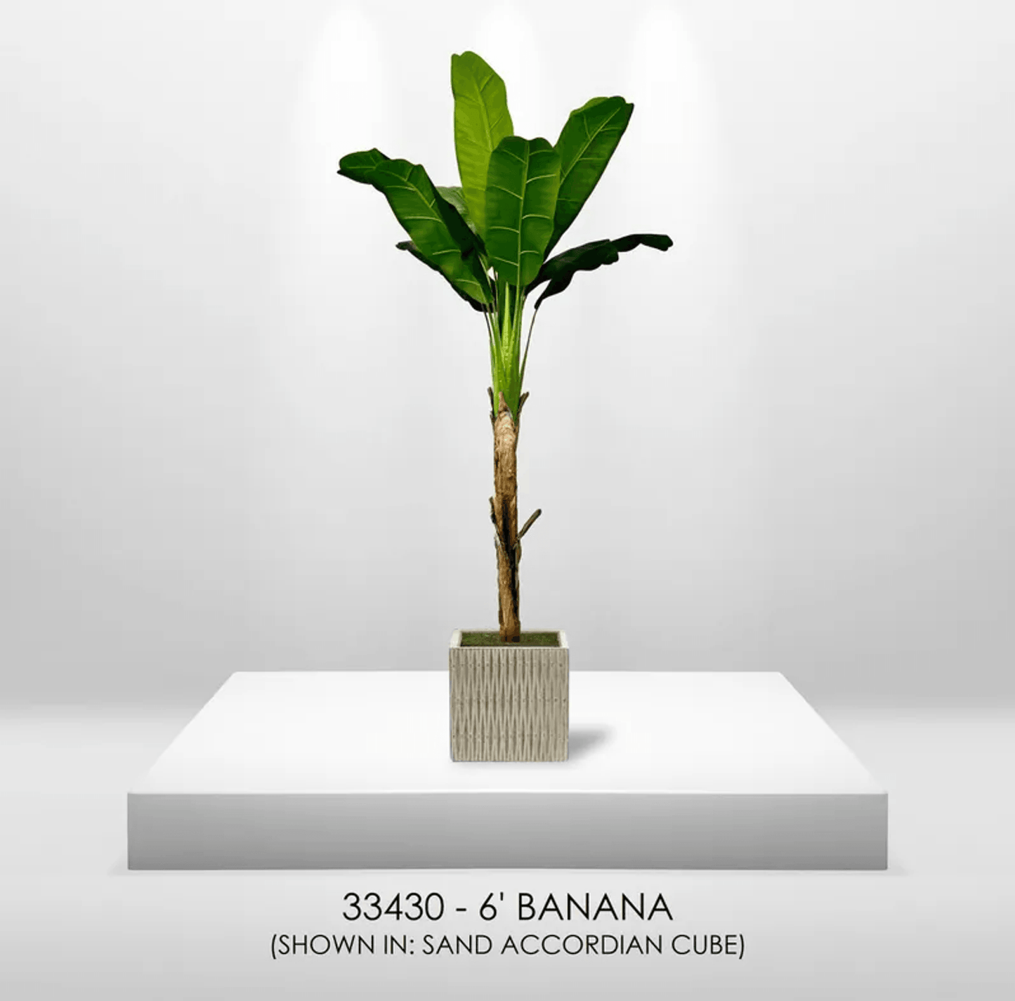 6' Real Touch Artificial Banana Plant