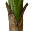 6' Real Touch Artificial Banana Plant