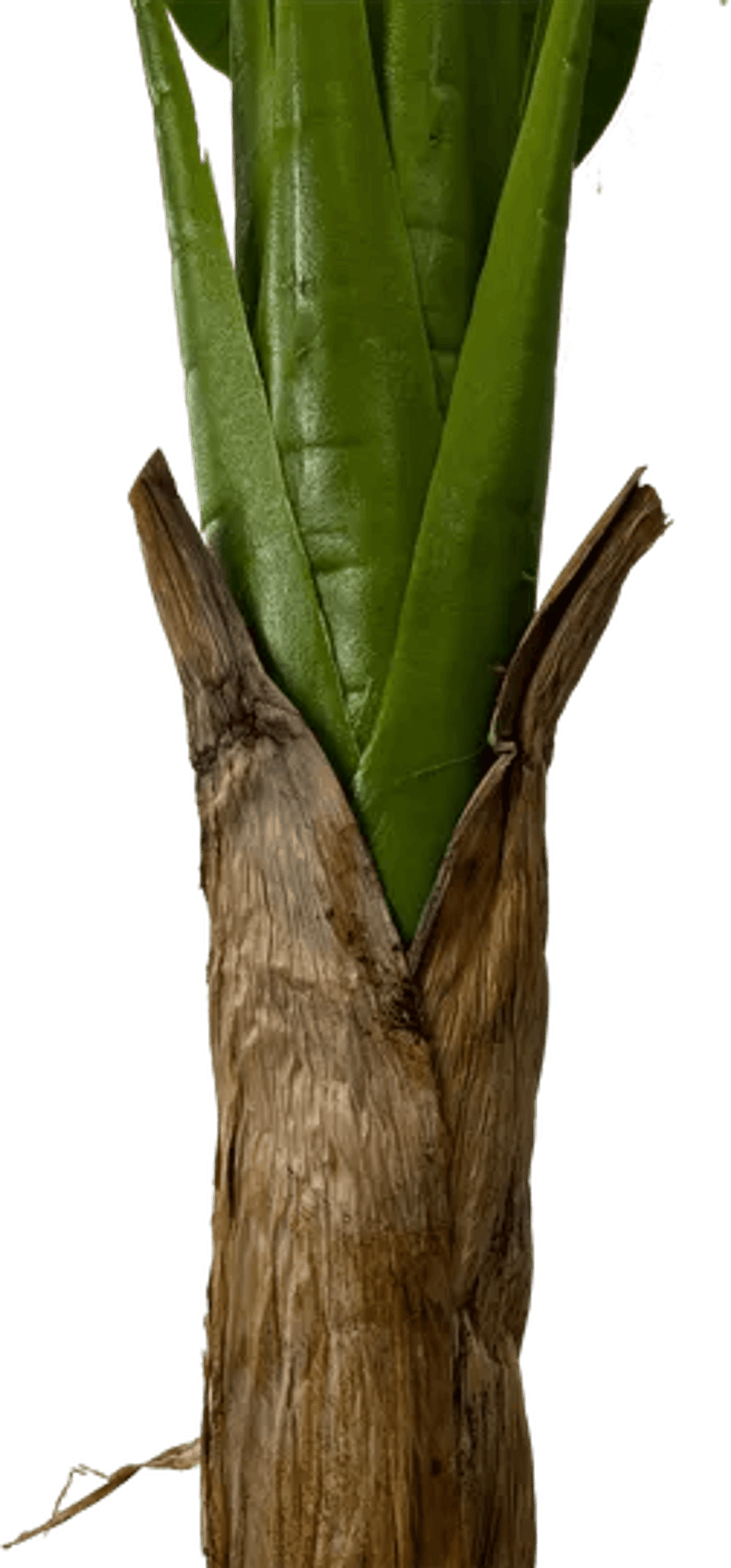 6' Real Touch Artificial Banana Plant