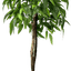 6' Premium Artificial Dragonwood Mango Tree