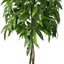 6' Premium Artificial Dragonwood Mango Tree