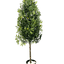 5.5' Artificial Olive Cone Tree For Elegant Spaces