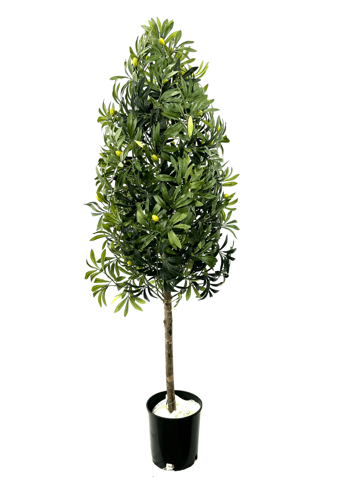 5.5' Artificial Olive Cone Tree For Elegant Spaces