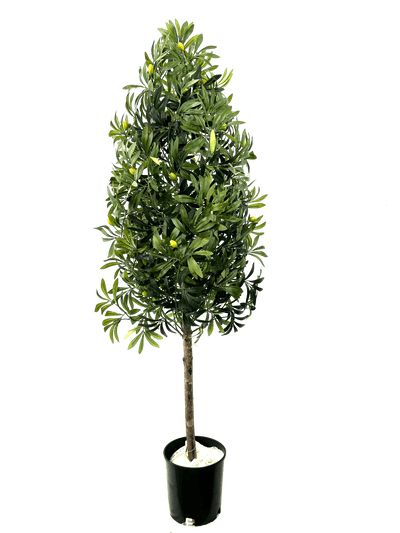 5.5' Artificial Olive Cone Tree For Elegant Spaces