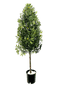 5.5' Artificial Olive Cone Tree For Elegant Spaces