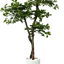 Lifelike 5' Artificial Black Olive Tree For Elegant Decor