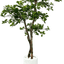 Lifelike 5' Artificial Black Olive Tree For Elegant Decor