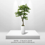 Lifelike 5' Artificial Black Olive Tree For Elegant Decor