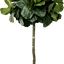 6.5' Lifelike Artificial Topiary Fig Tree In Growers Pot