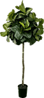 6.5' Lifelike Artificial Topiary Fig Tree In Growers Pot