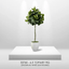 6.5' Lifelike Artificial Topiary Fig Tree In Growers Pot