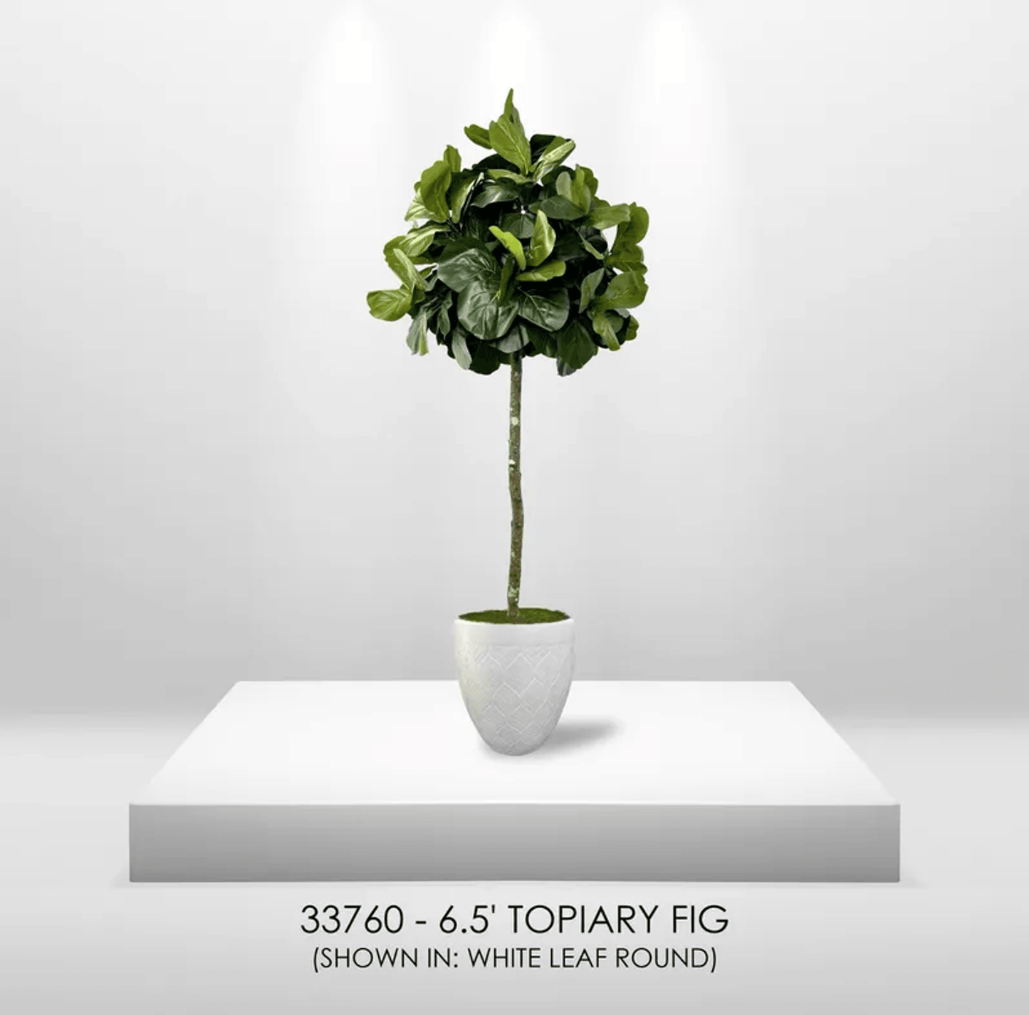 6.5' Lifelike Artificial Topiary Fig Tree In Growers Pot
