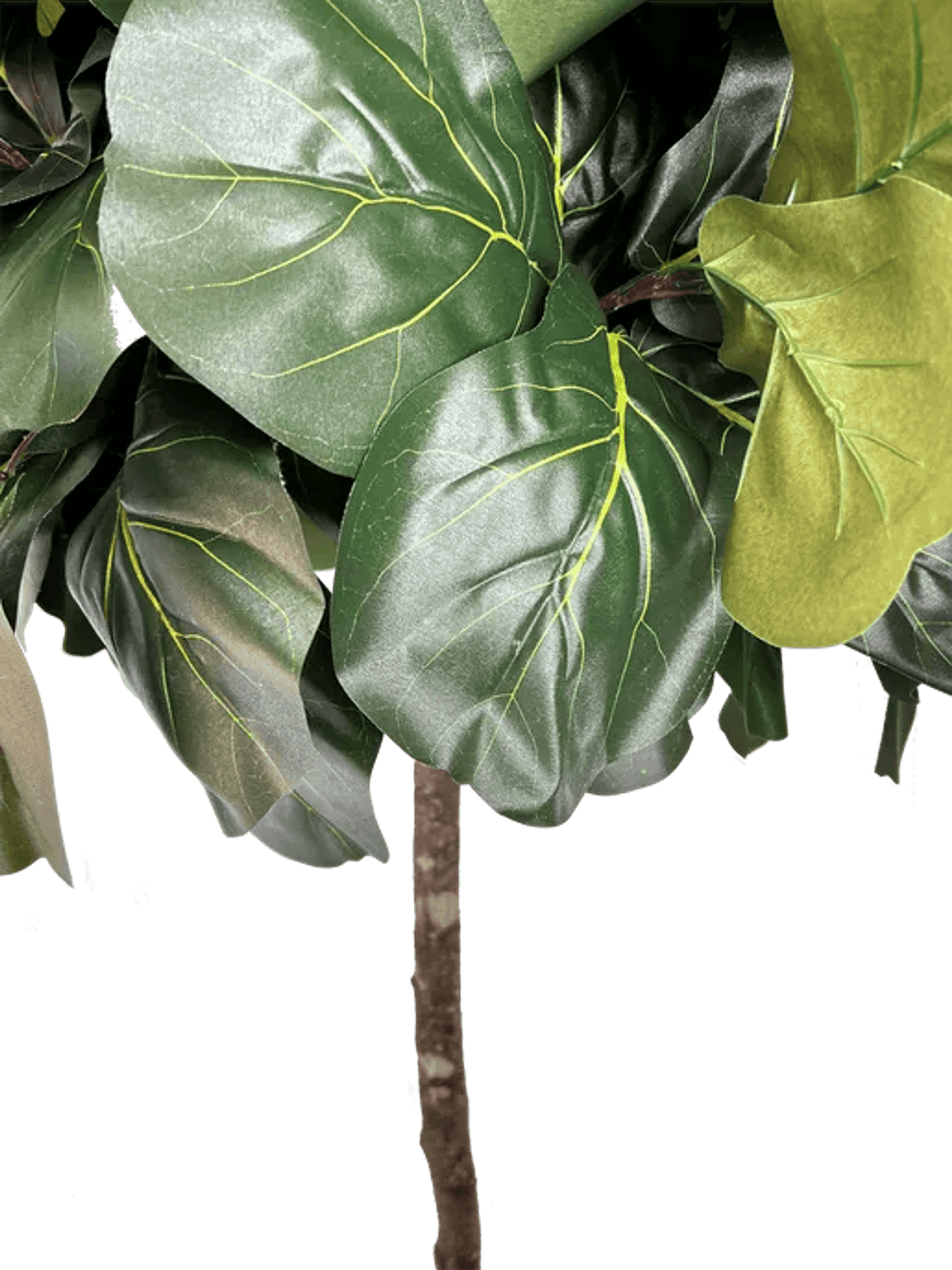 6.5' Lifelike Artificial Topiary Fig Tree In Growers Pot