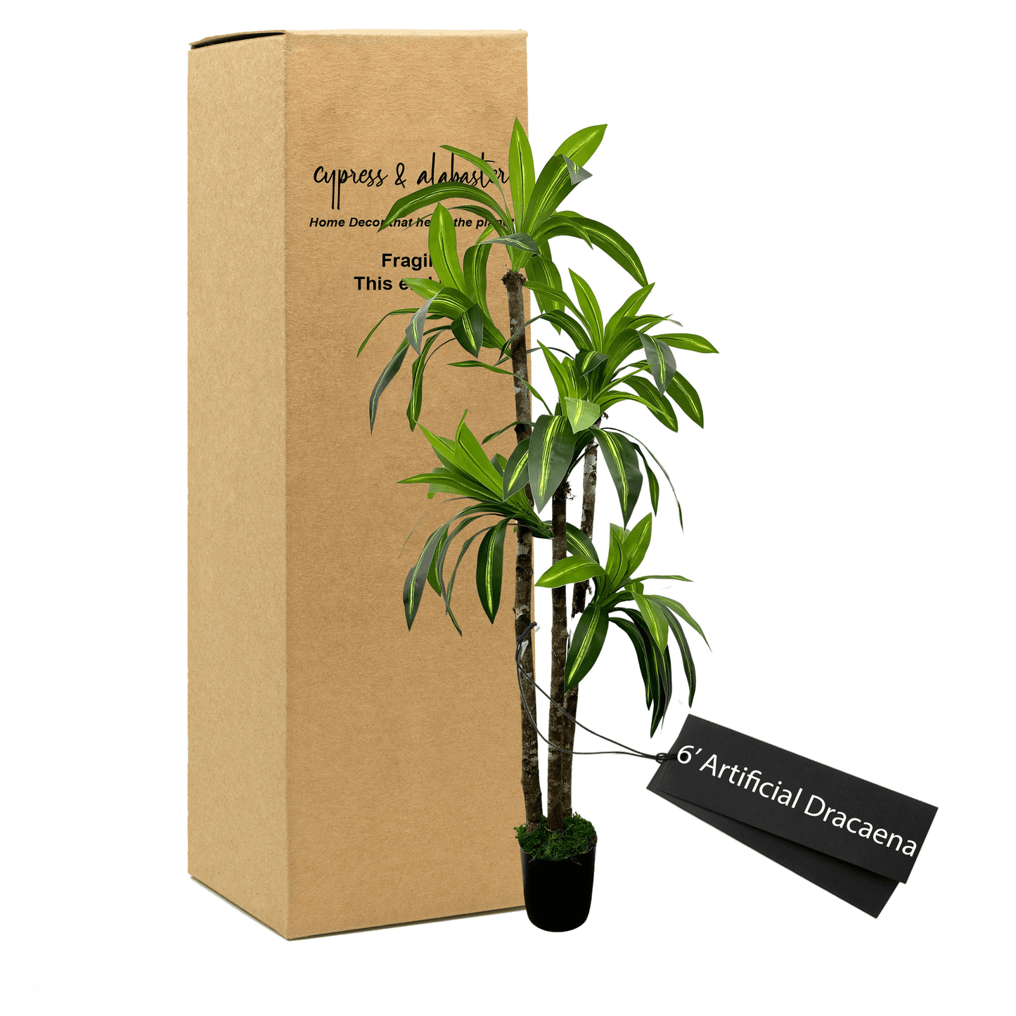 6' Lifelike Dracaena Tree In Decorative Plastic Pot