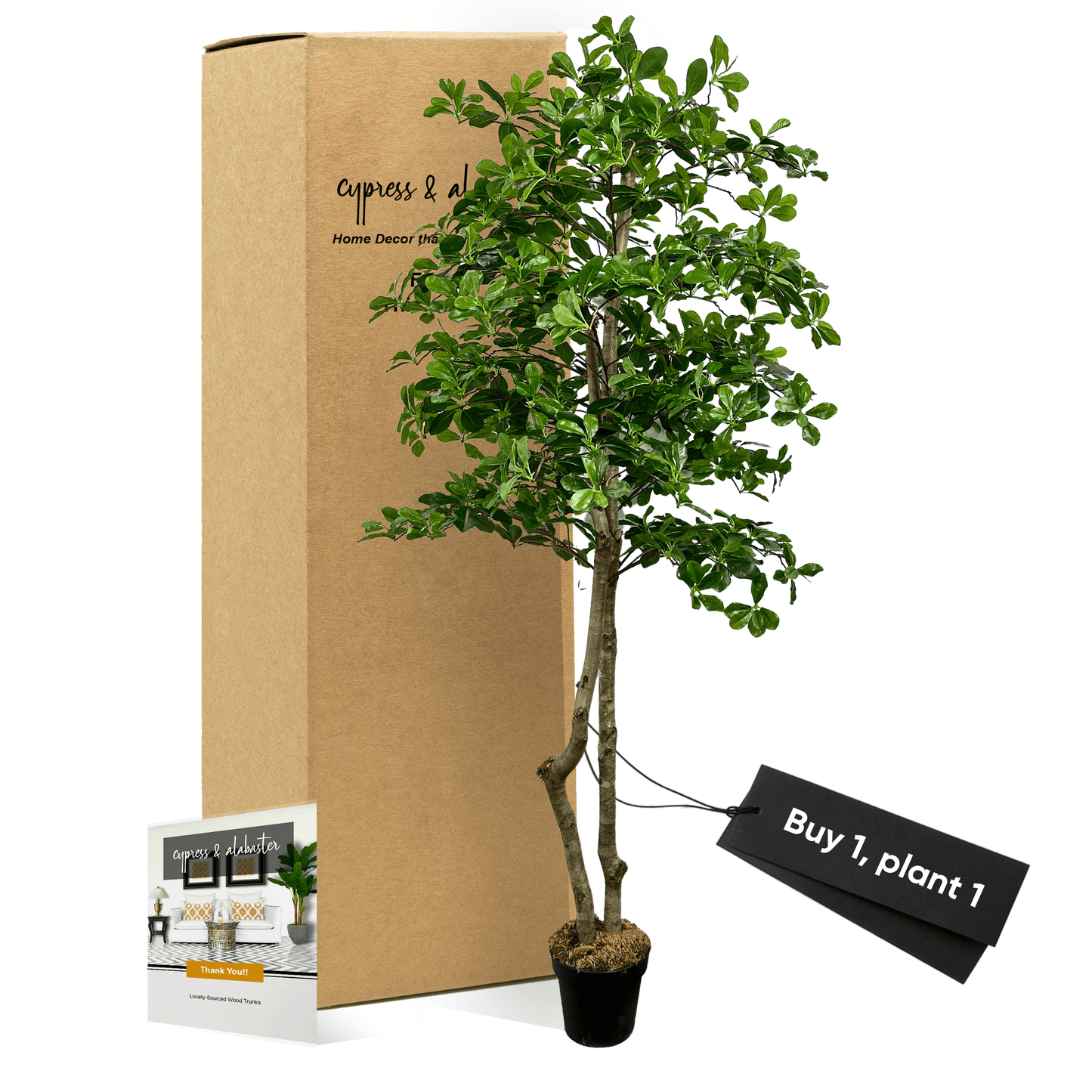Handcrafted 6' Italian Black Olive Leaf Artificial Tree