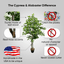 Handcrafted 5' Italian Black Olive Leaf Artificial Tree
