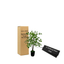3' Artificial Rain Tree In Home Basics Pot