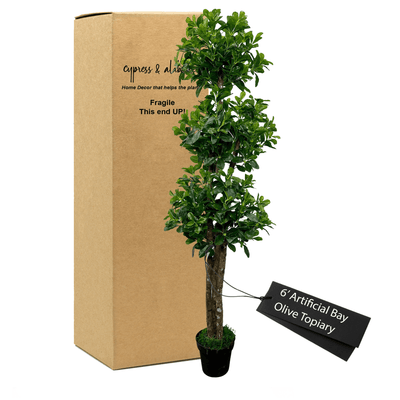 6' Bay Olive Triple Topiary Tree In Home Basics Pot