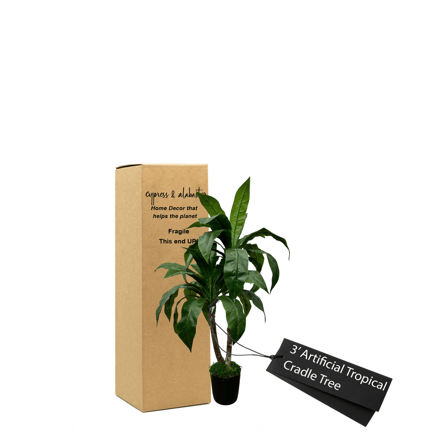 3' Lifelike Tropical Cradle Tree In Plastic Pot
