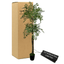 6.5' Lifelike Olive Tree With Dual Tiers In Modern Plastic Pot