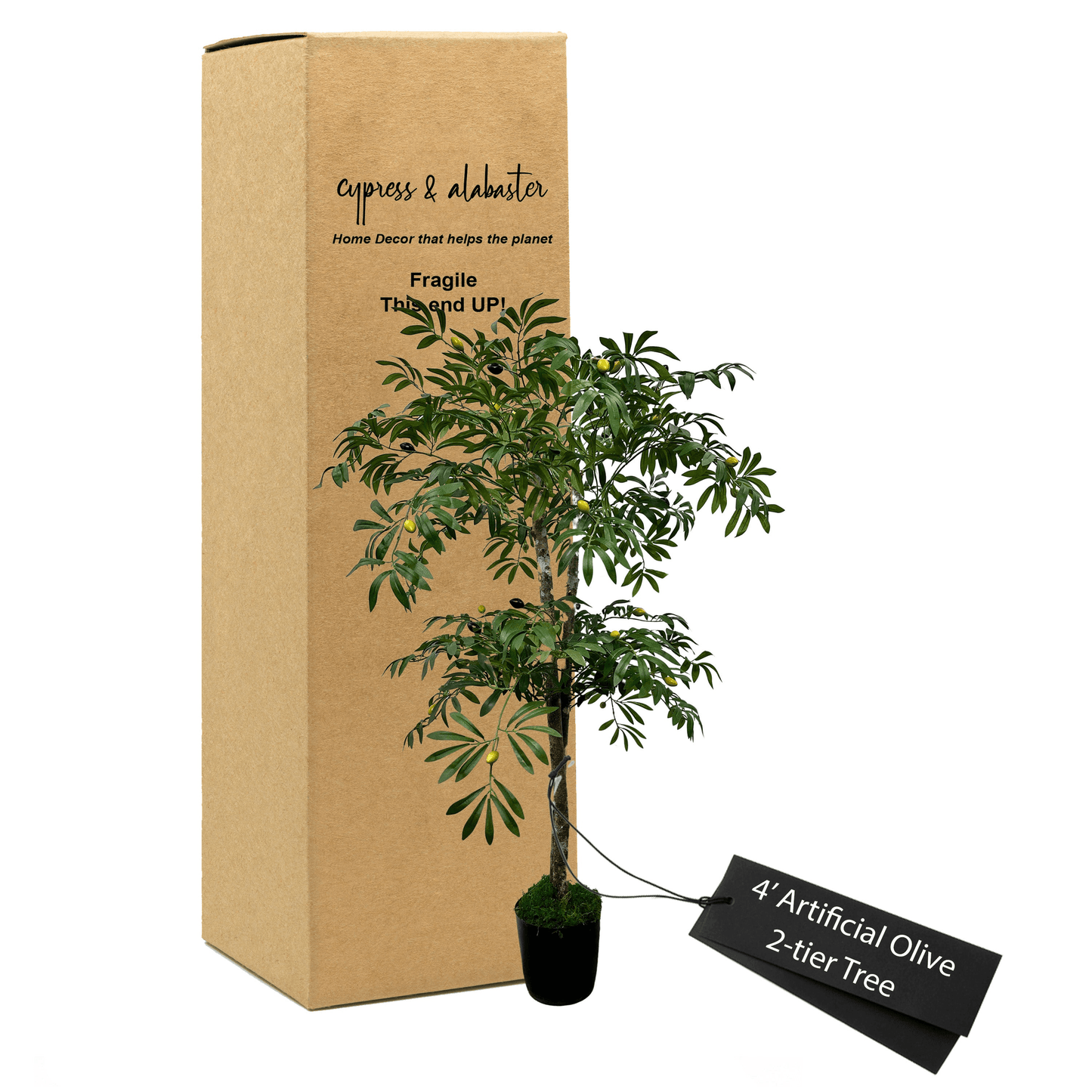 4' Handcrafted Olive Tree In Plastic Pot