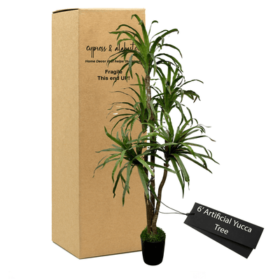 6' Lifelike Yucca Tree In Home Basics Pot
