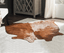 Premium Handmade Dark Brown Cowhide Area Rug - 6X7 Feet
