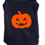 Puffed Pumpkin Pet Halloween Outfit