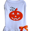 Puffed Pumpkin Pet Halloween Outfit