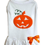 Puffed Pumpkin Pet Halloween Outfit