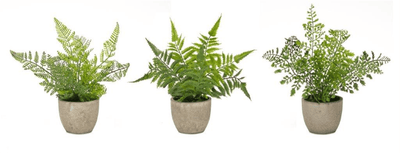 Elegant Potted Fern Set Of 3 - 9.5"H Faux Greenery