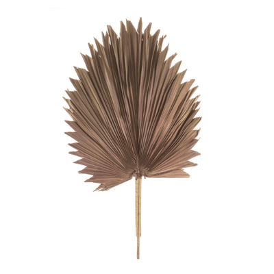 Natural Fan Palm Leaf Set Of 6 - 42" Height