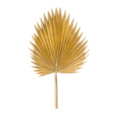 Elegant Fan Palm Leaf Set Of 6 - 37" Plastic Decor