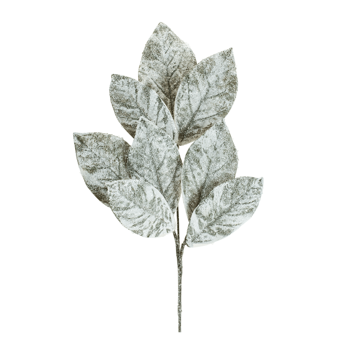 Elegantly Variegated Magnolia Leaf Spray Set Of 6 - 32.5"H