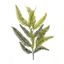 Elegant Fern Spray Set Of 6 - 39"H Plastic Foliage