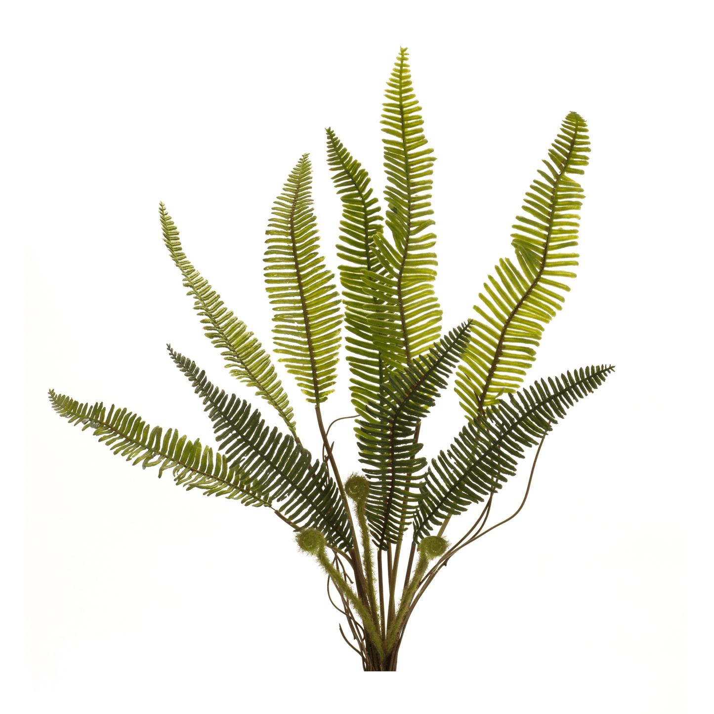 Lush Fern Plant Set Of 6 - 17.5" Plastic Foliage