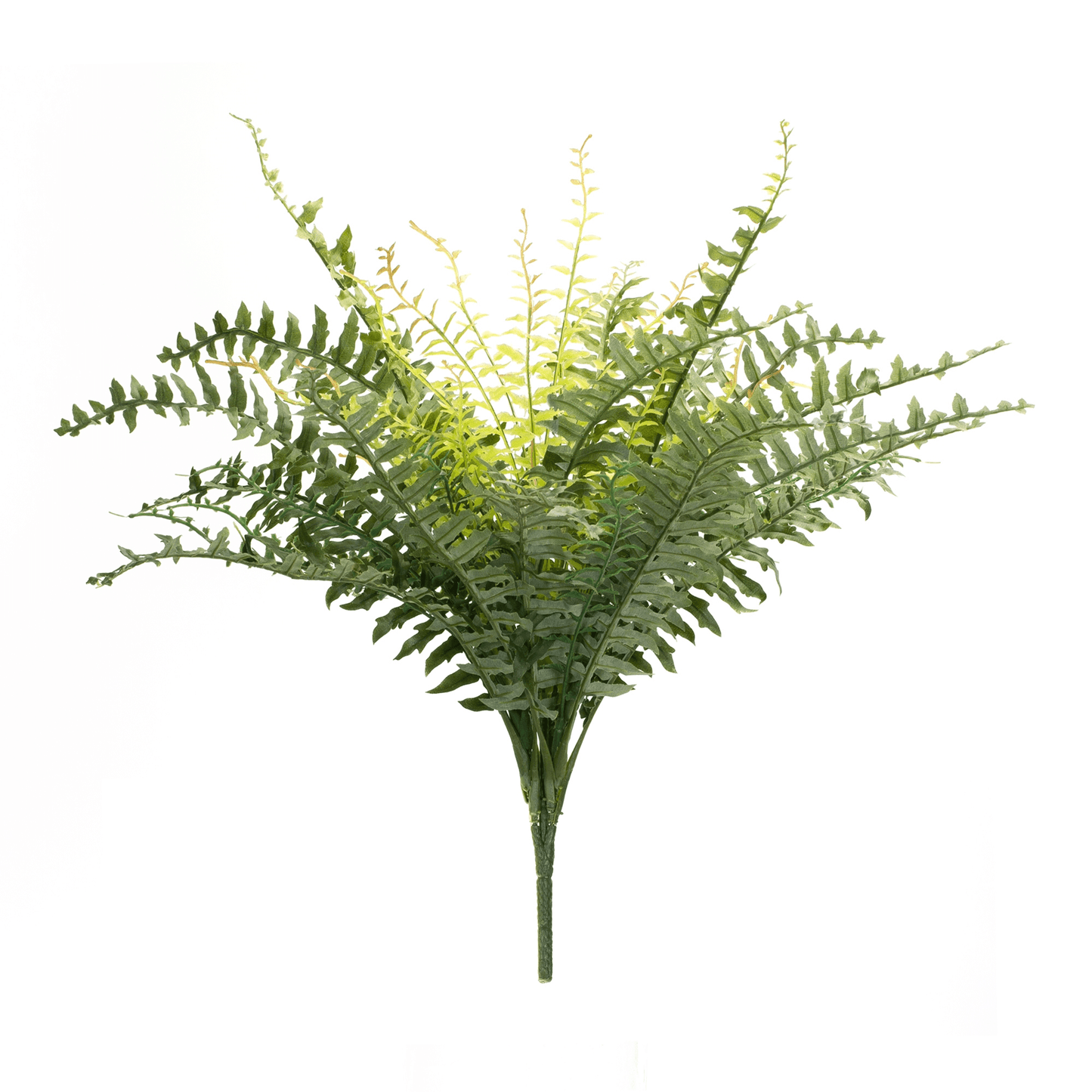 Elegant Fern Bush Set Of 2 – 22.5"H Polyester Décor