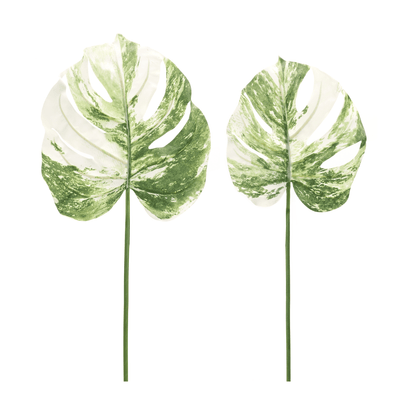 Philo Leaf 12-Piece Set - 28"H & 29"H Polyester Foliage