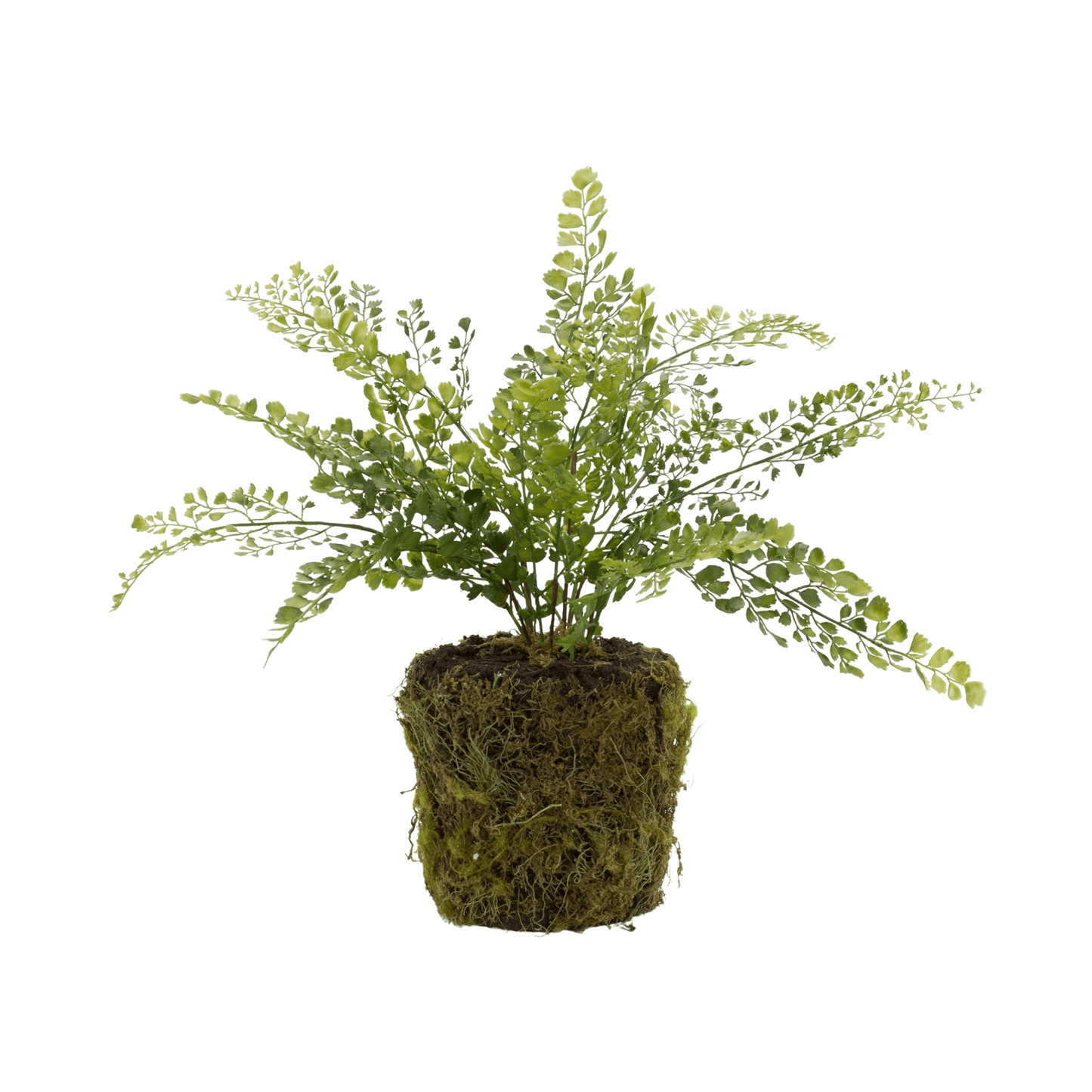 Lifelike Potted Fern Bush Set (15"H, Set Of 2)