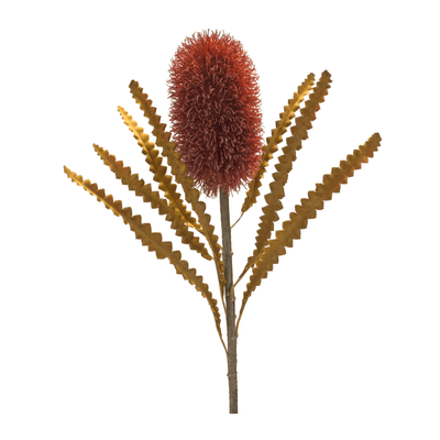 Elegant Banksia Stem Set Of 6 - 24" Plastic Floral Arrangement