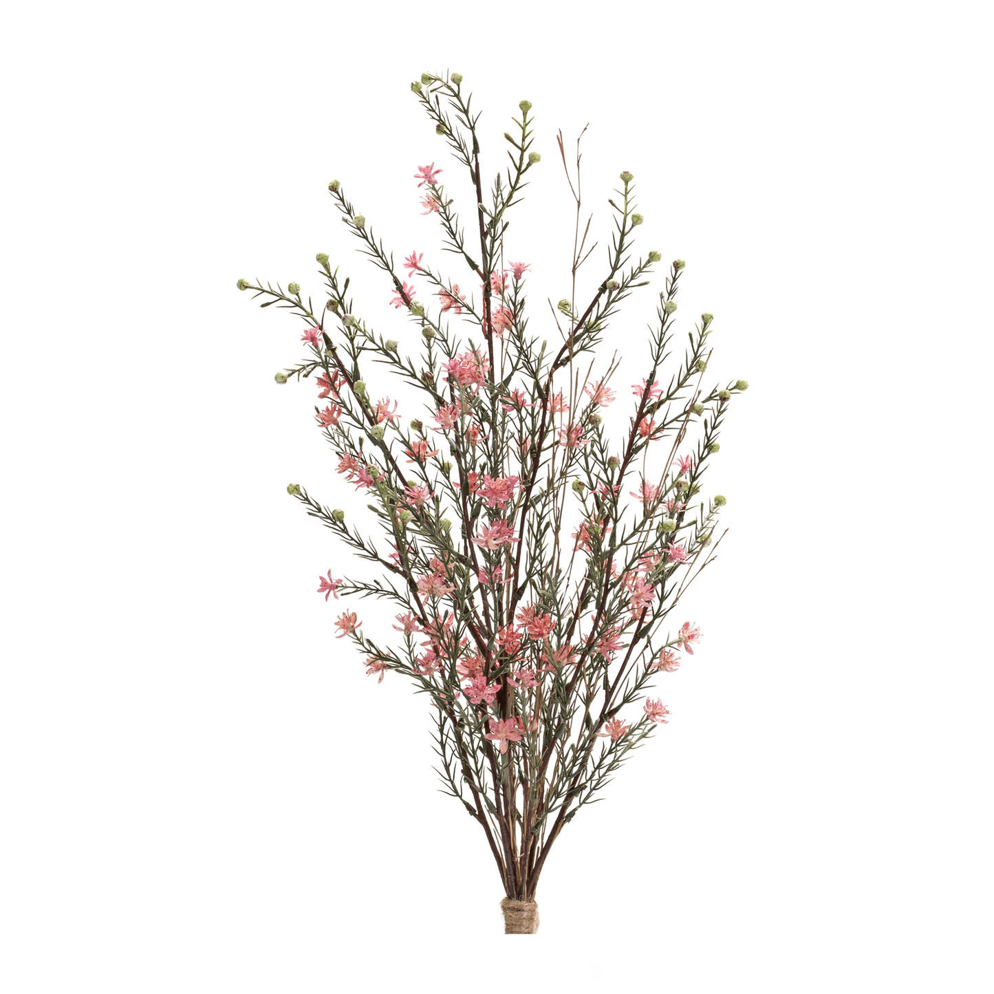 Leptospermum Bundle Set Of 6 - 26.25"H Plastic Foliage