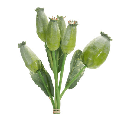 Elegant Poppy Pod Floral Bundle - Set Of 6