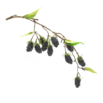 Raspberry Vine Decor Set - 6 Pieces, 24.5"L