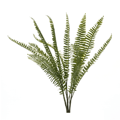 Elegant 22" Fern Bush Set Of 6