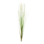 Elegant Foxtail Bush Set - 12 Timeless Stems
